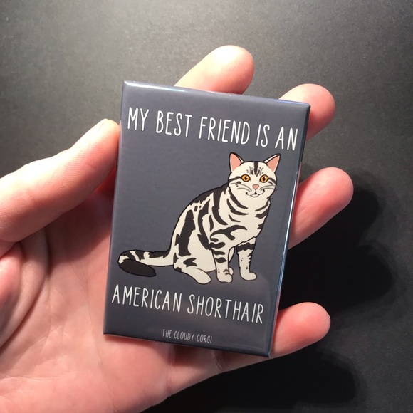 American Shorthair Cat Magnet Handmade Kitty Decor - Picture 6 of 8